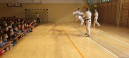 Pokazy taekwondo - wrzesień 2021, foto nr 5, 
